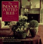 The Indoor Potted Bulb ~ Decorative Container Gardening with Flowering Bulbs used book depot