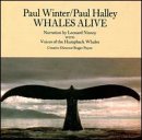 Whales Alive used book depot