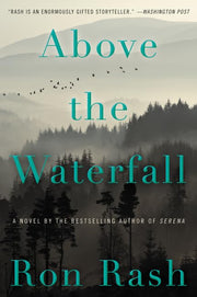 Above the Waterfall: A Novel used book depot