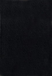 NIV Archaeological Study Bible: An Illustrated Walk Through Biblical History and Culture used book depot