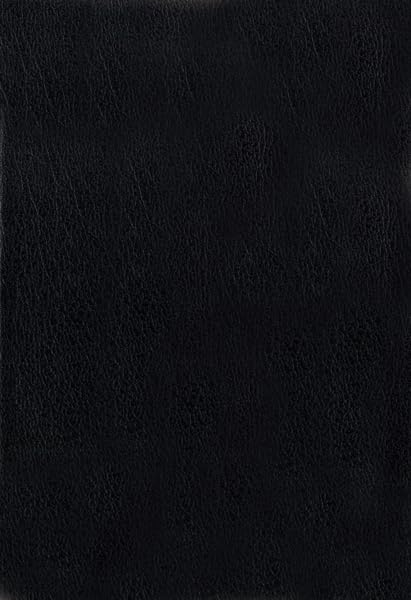 NIV Archaeological Study Bible: An Illustrated Walk Through Biblical History and Culture used book depot