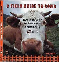 A Field Guide to Cows used book depot