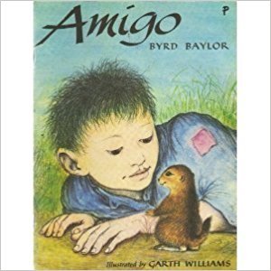 Amigo used book depot