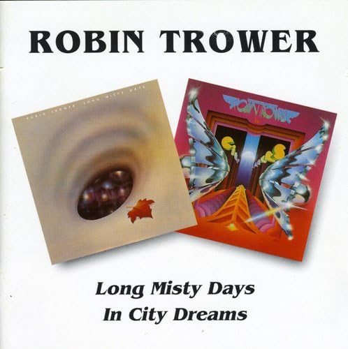 Long Misty Days / in City Dreams used book depot