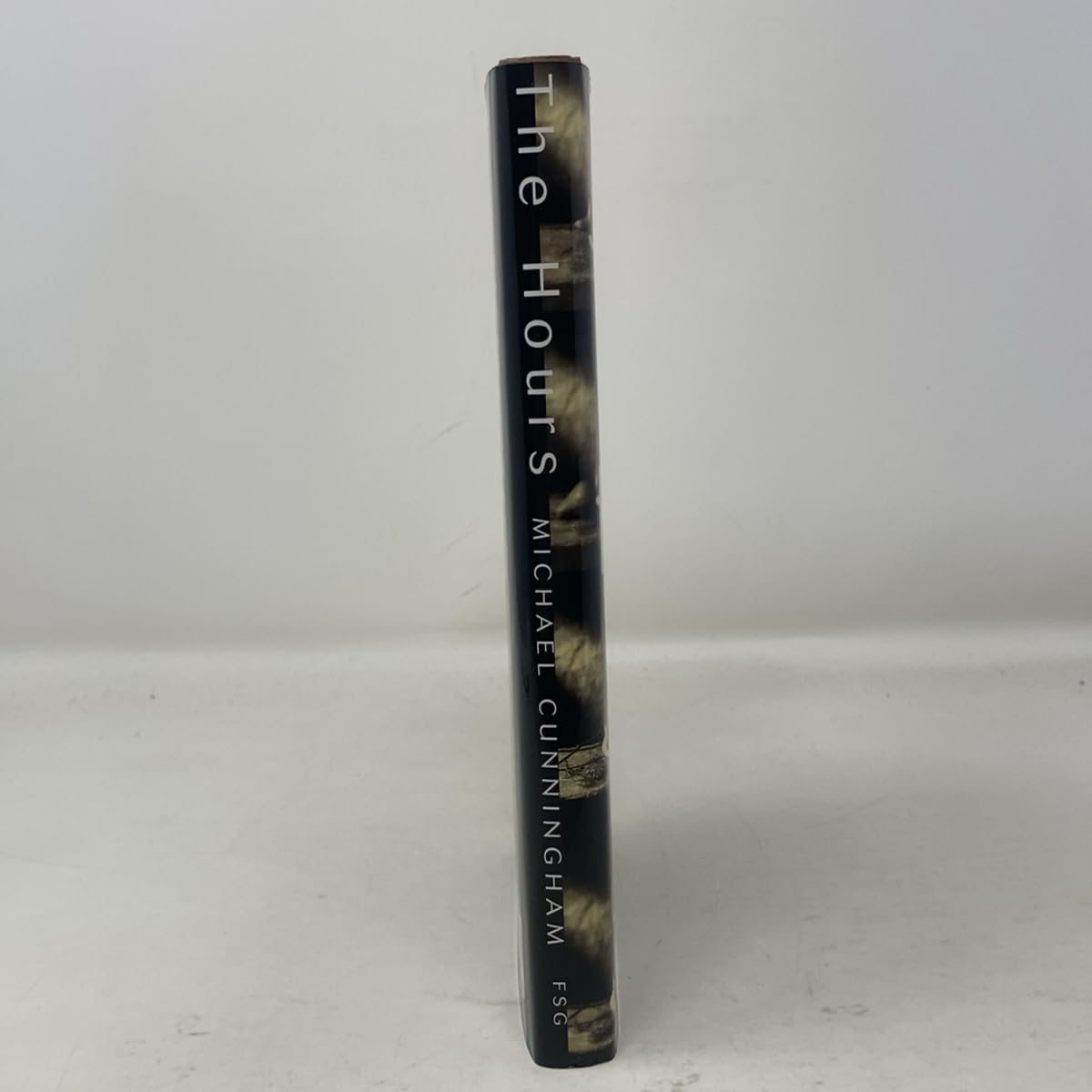 The Hours: A Novel used book depot