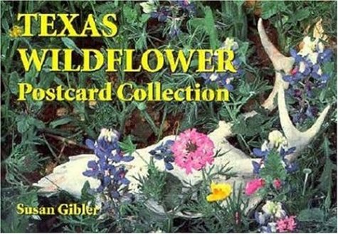 Texas Wildflower Postcard Collection used book depot
