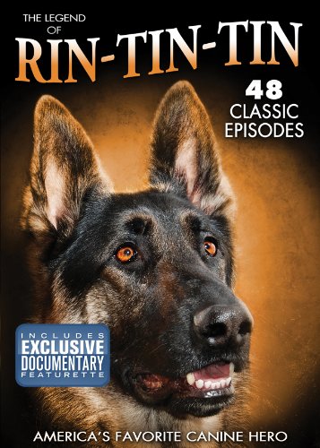 The Legend of Rin-Tin-Tin: America's Favorite Canine Hero used book depot