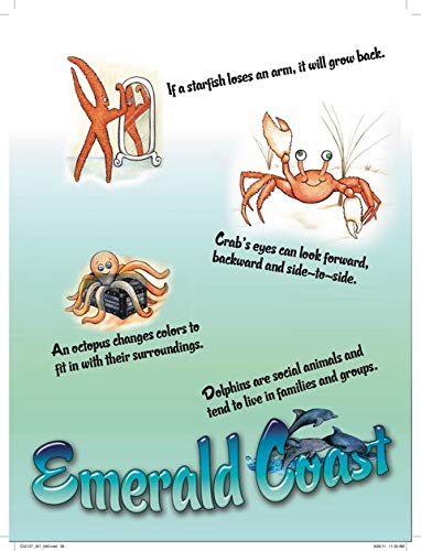 Fred Visits the Emerald Coast used book depot