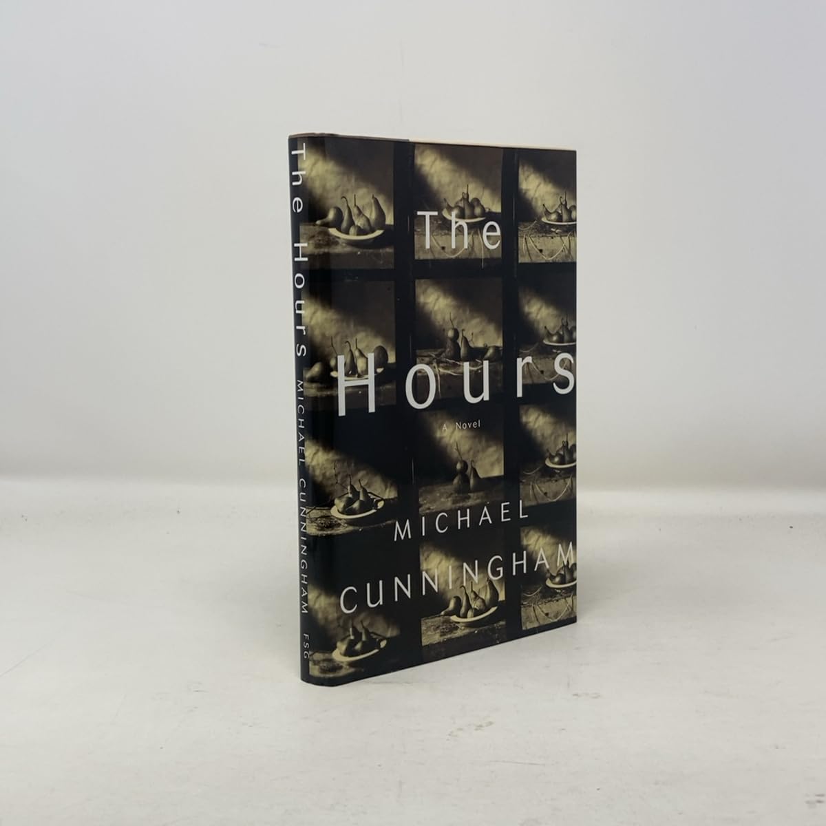 The Hours: A Novel used book depot