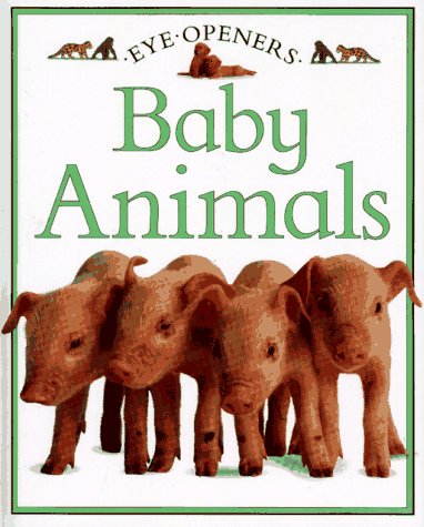 Baby Animals (Eye Openers) used book depot