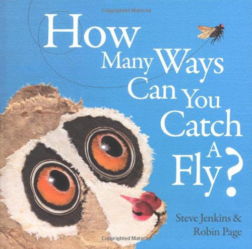 How Many Ways Can You Catch a Fly? used book depot