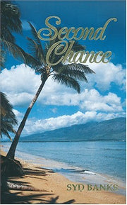 Second Chance: A Novel used book depot