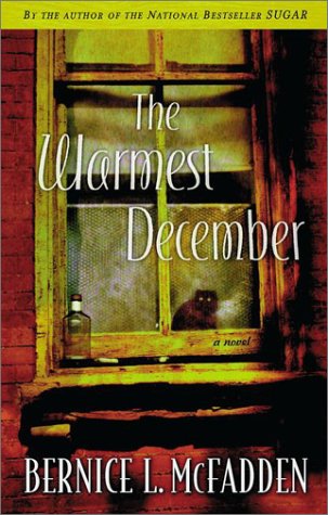 The Warmest December used book depot