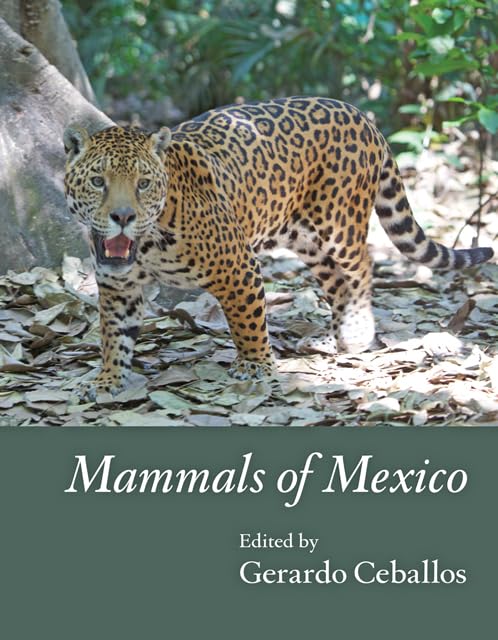 Mammals of Mexico used book depot