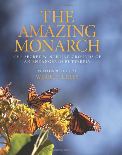 The Amazing Monarch: The Secret Wintering Grounds of an Endangered Butterfly used book depot