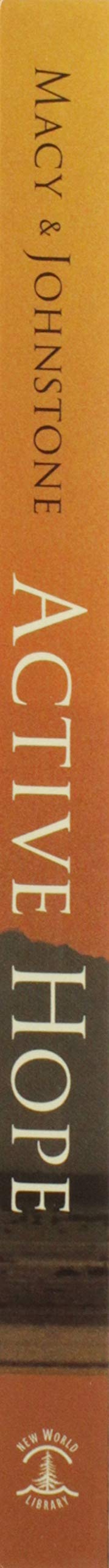 Active Hope: How to Face the Mess We're in without Going Crazy used book depot