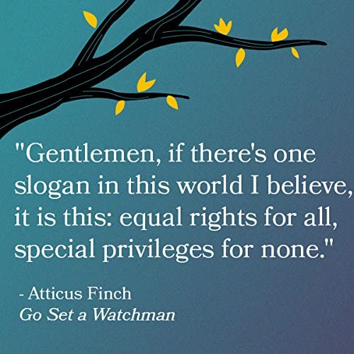 Go Set a Watchman: A Novel used book depot