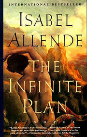 The Infinite Plan: Novel, A used book depot