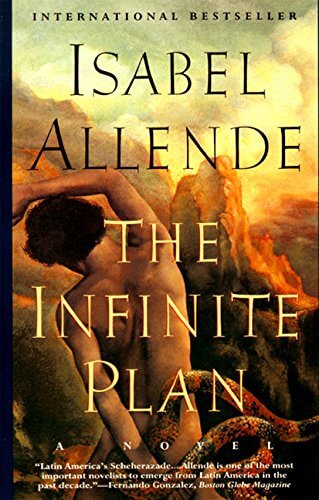The Infinite Plan: Novel, A used book depot