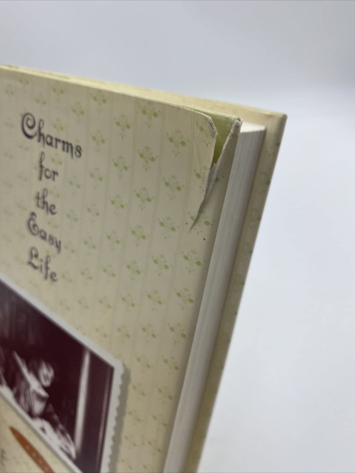 Charms for the Easy Life used book depot