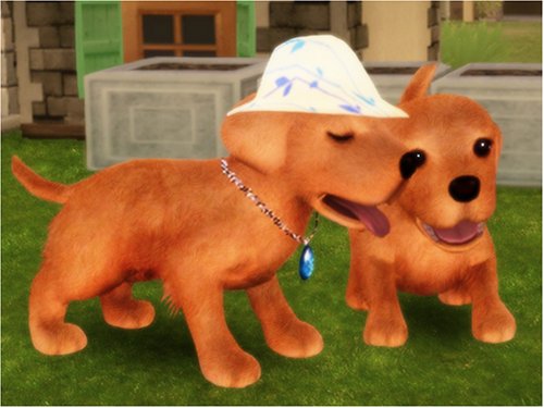 Petz Dogz 2 - PlayStation 2 used book depot