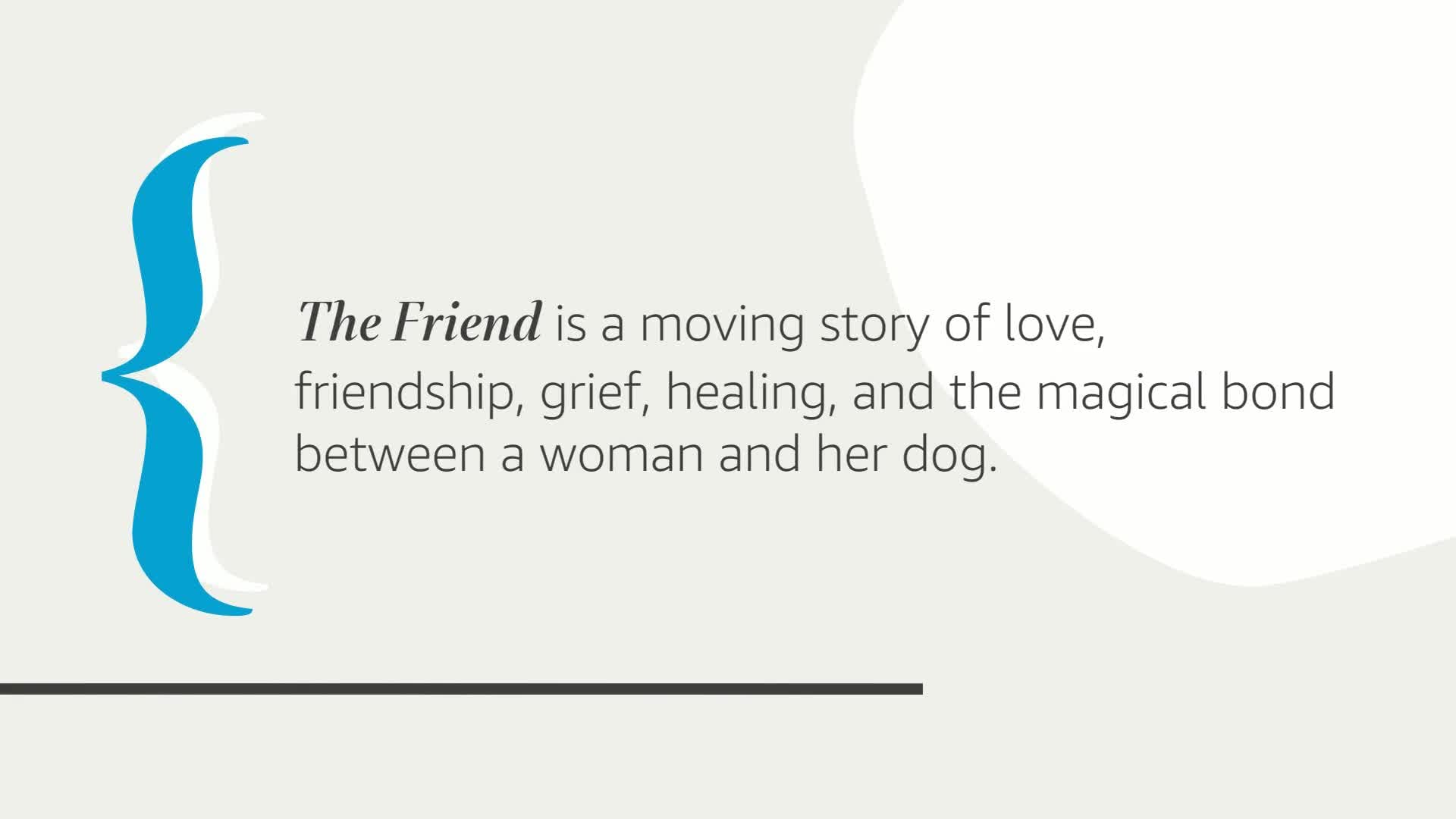 The Friend (National Book Award Winner): A Novel used book depot