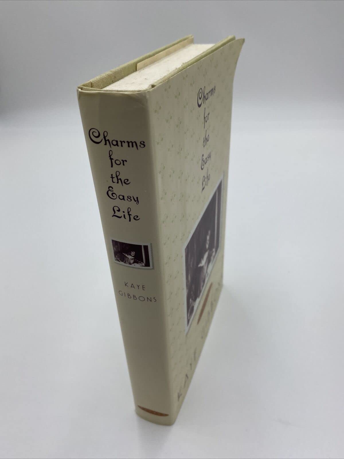 Charms for the Easy Life used book depot