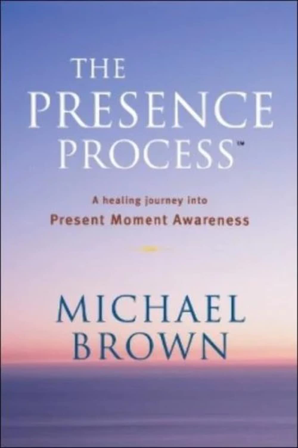 The Presence Process: A Healing Journey into Present Moment Awareness used book depot