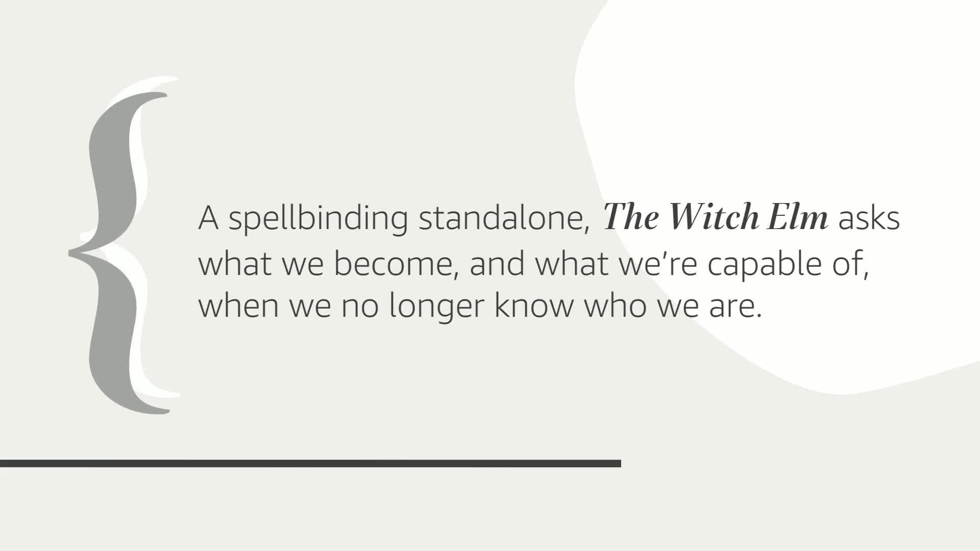 The Witch Elm: A Novel used book depot