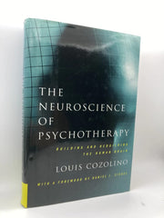 The Neuroscience of Psychotherapy: Building and Rebuilding the Human Brain (Norton Series on Interpersonal Neurobiology) used book depot