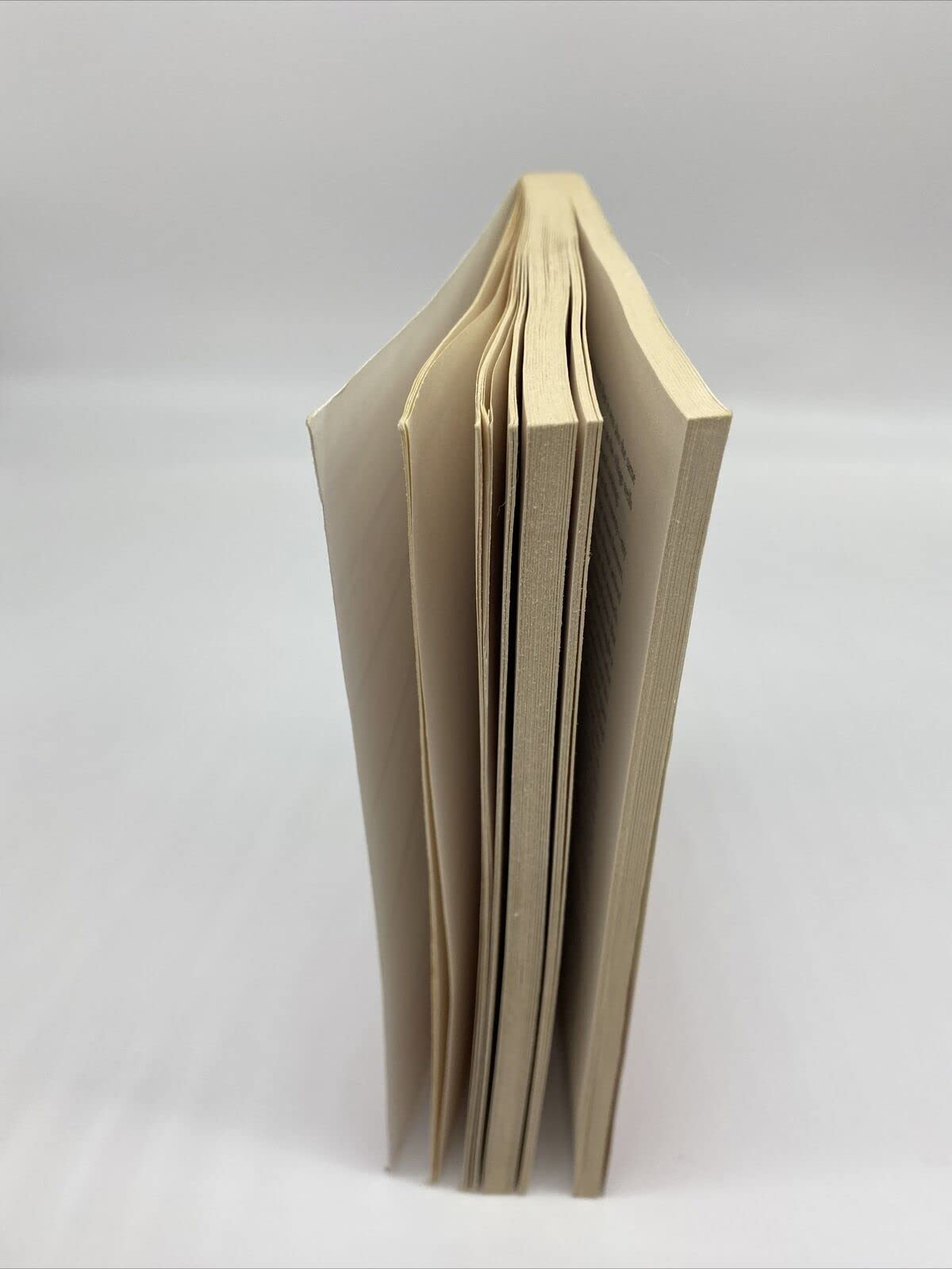 Snow Flower and the Secret Fan used book depot