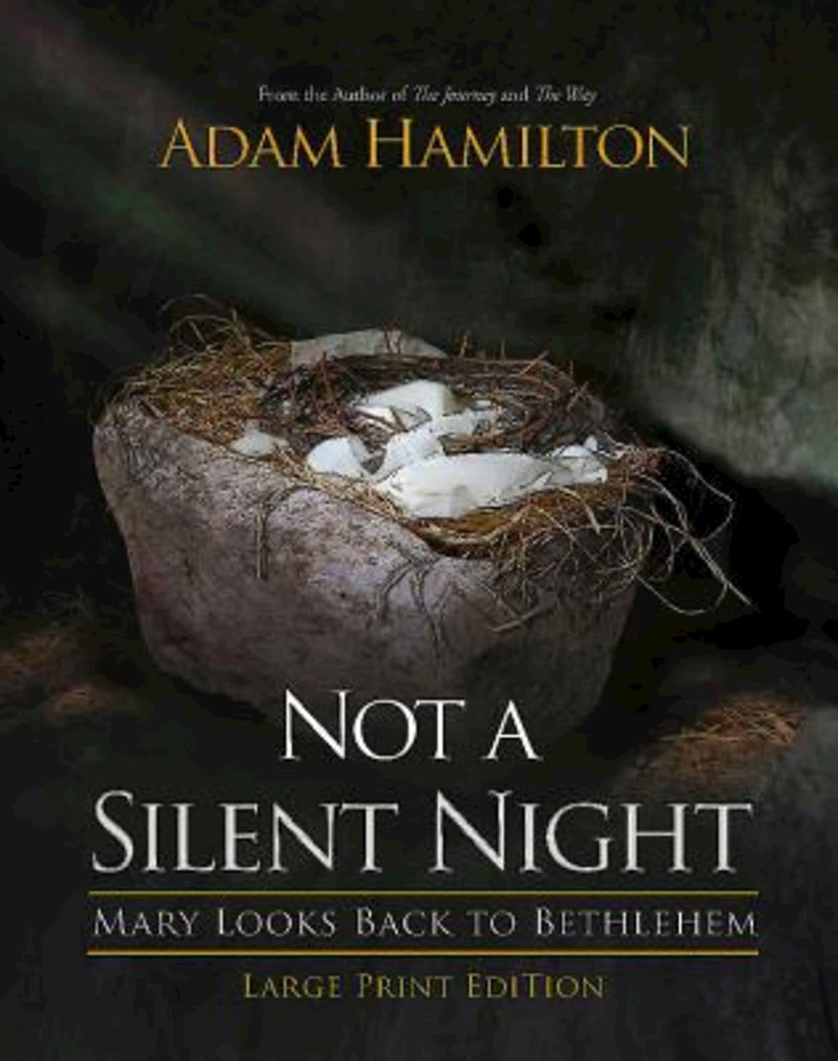Not a Silent Night: Mary Looks Back to Bethlehem (Not a Silent Night Advent) used book depot