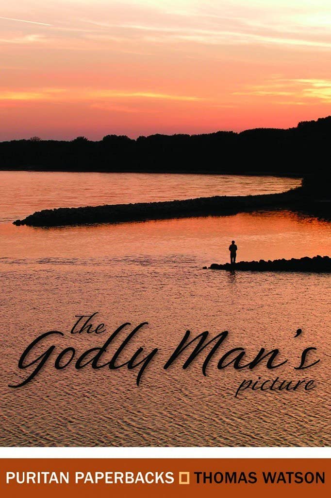 The Godly Man's Picture (Puritan Paperbacks) used book depot