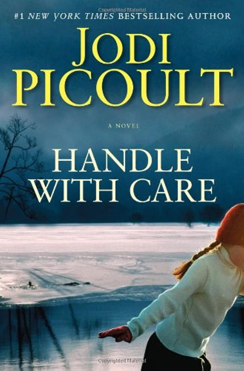 Handle with Care: A Novel used book depot