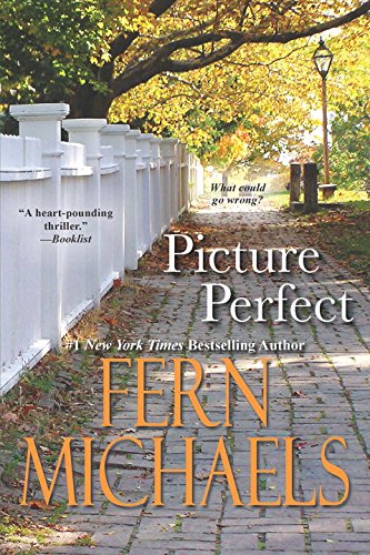 Picture Perfect used book depot