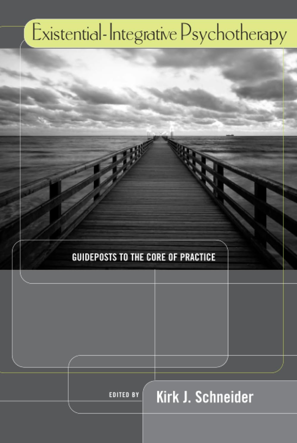 Existential-Integrative Psychotherapy: Guideposts to the Core of Practice used book depot