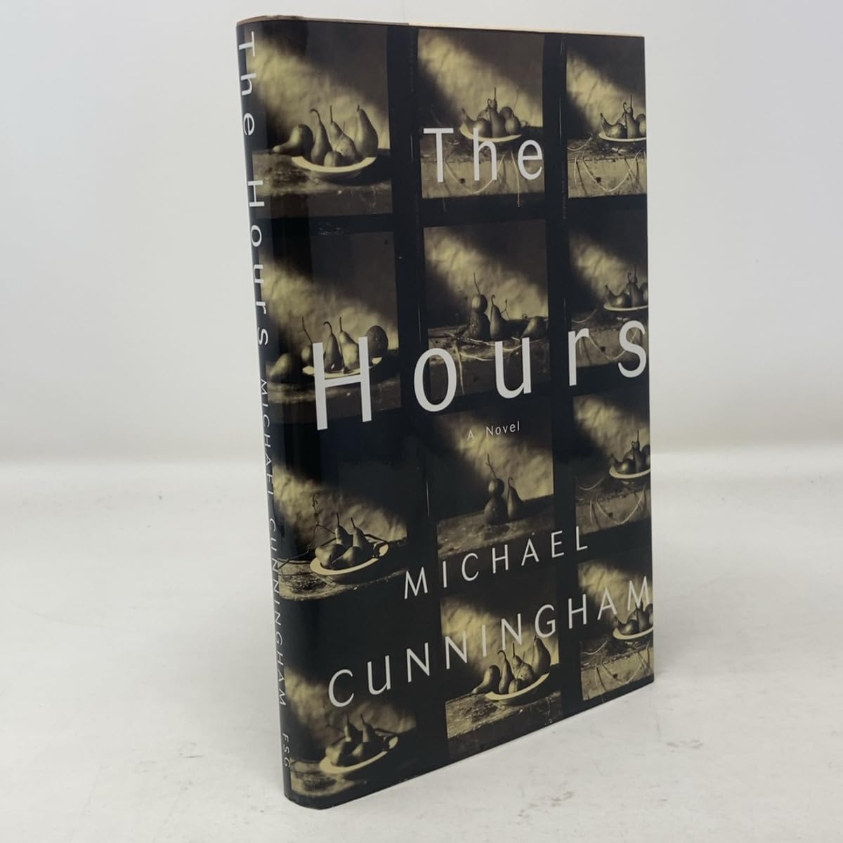 The Hours: A Novel used book depot