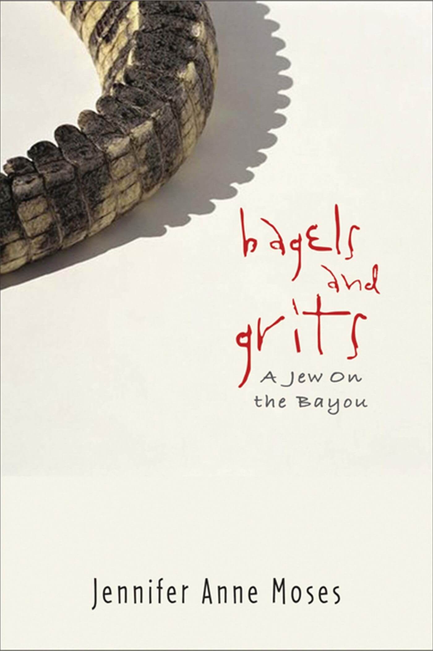 Bagels and Grits: A Jew on the Bayou used book depot