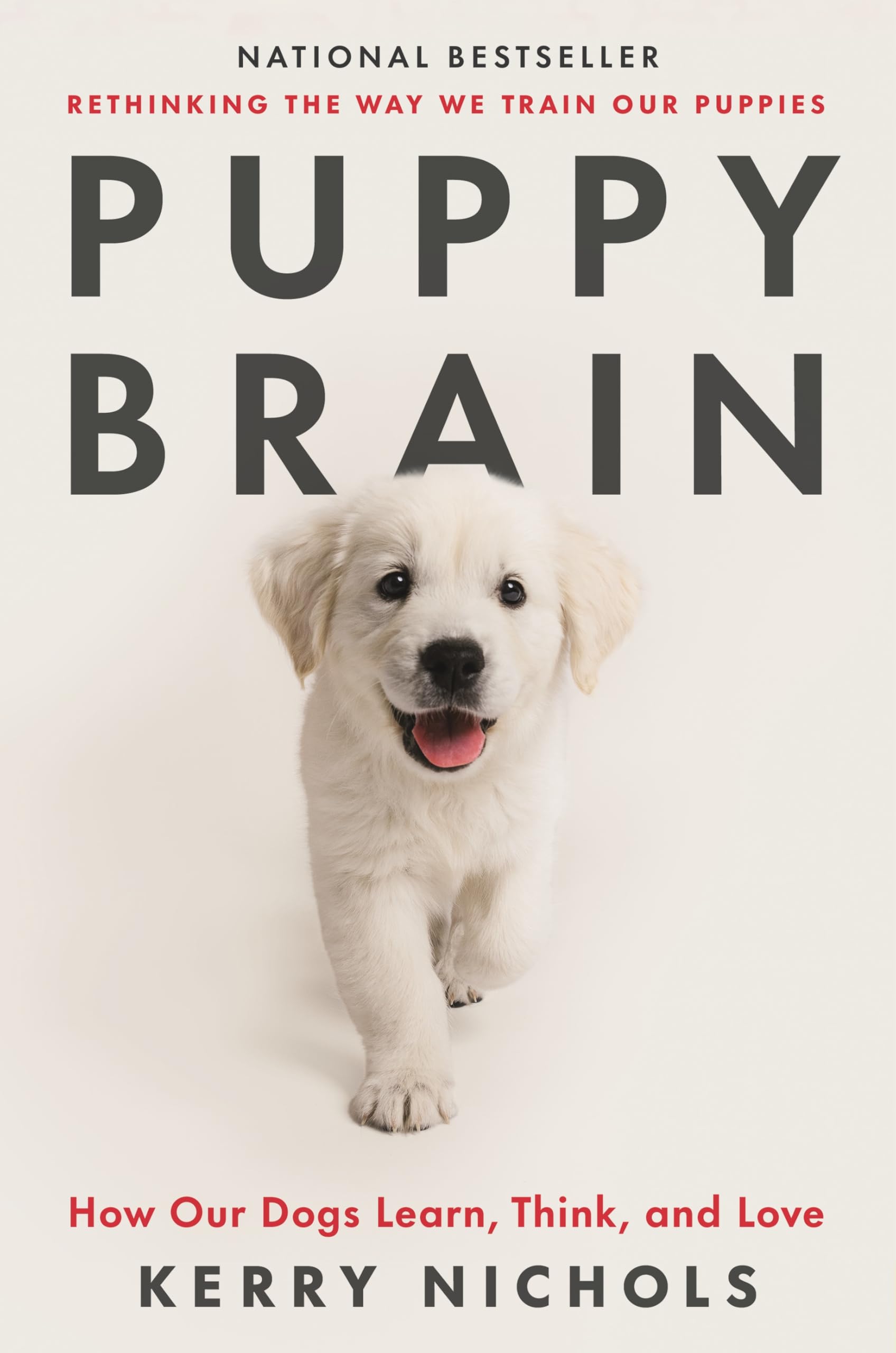 Puppy Brain: How Our Dogs Learn, Think, and Love used book depot