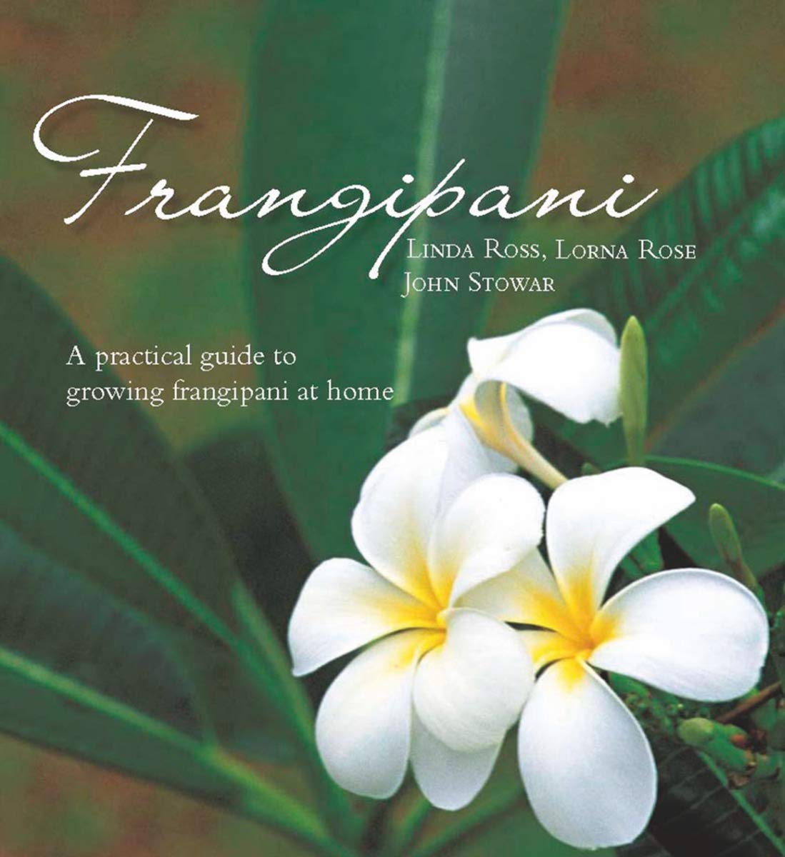 Frangipani: A Practical Guide to Growing Frangipani at Home used book depot