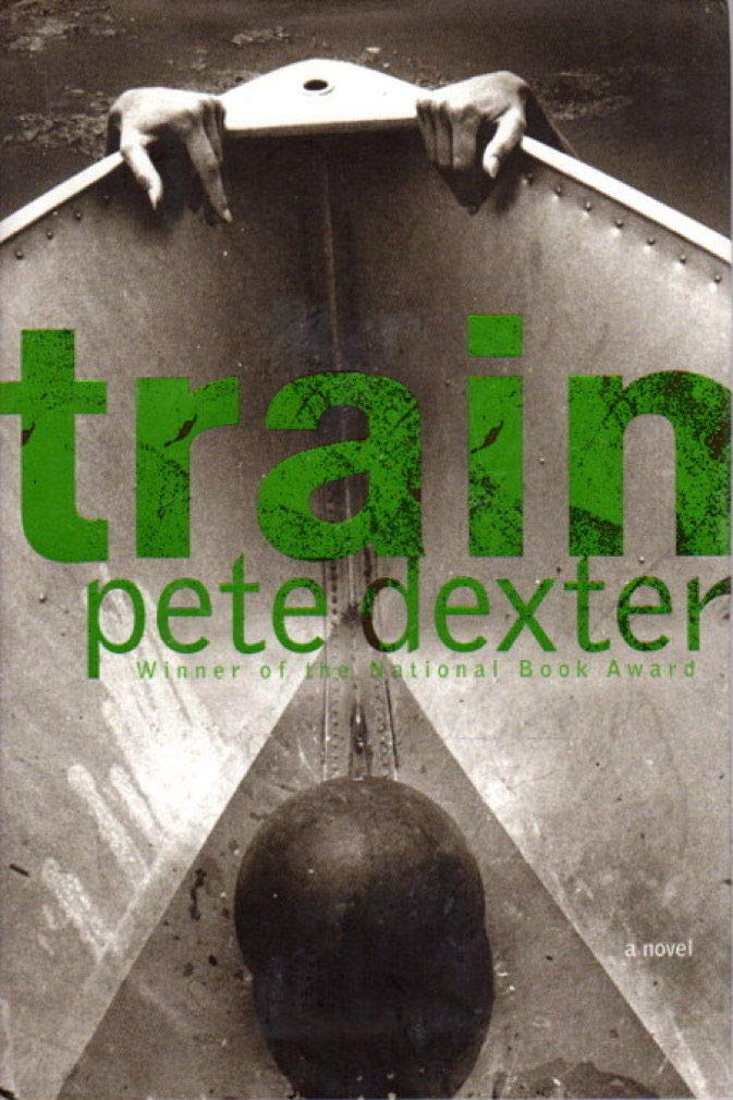 Train: A Novel used book depot