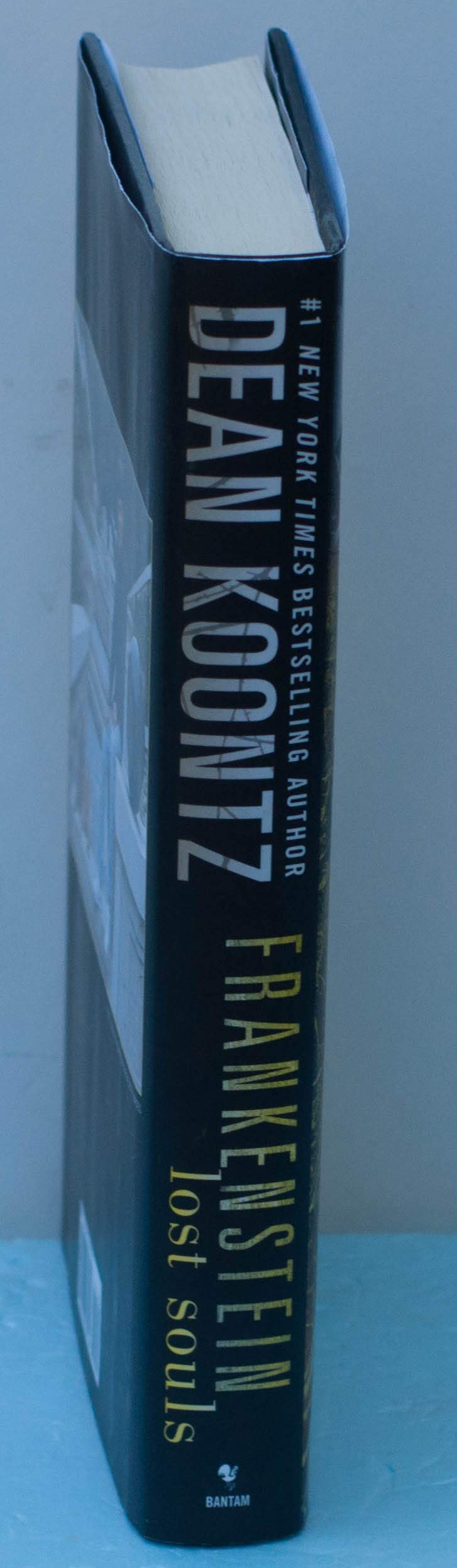 Frankenstein: Lost Souls used book depot