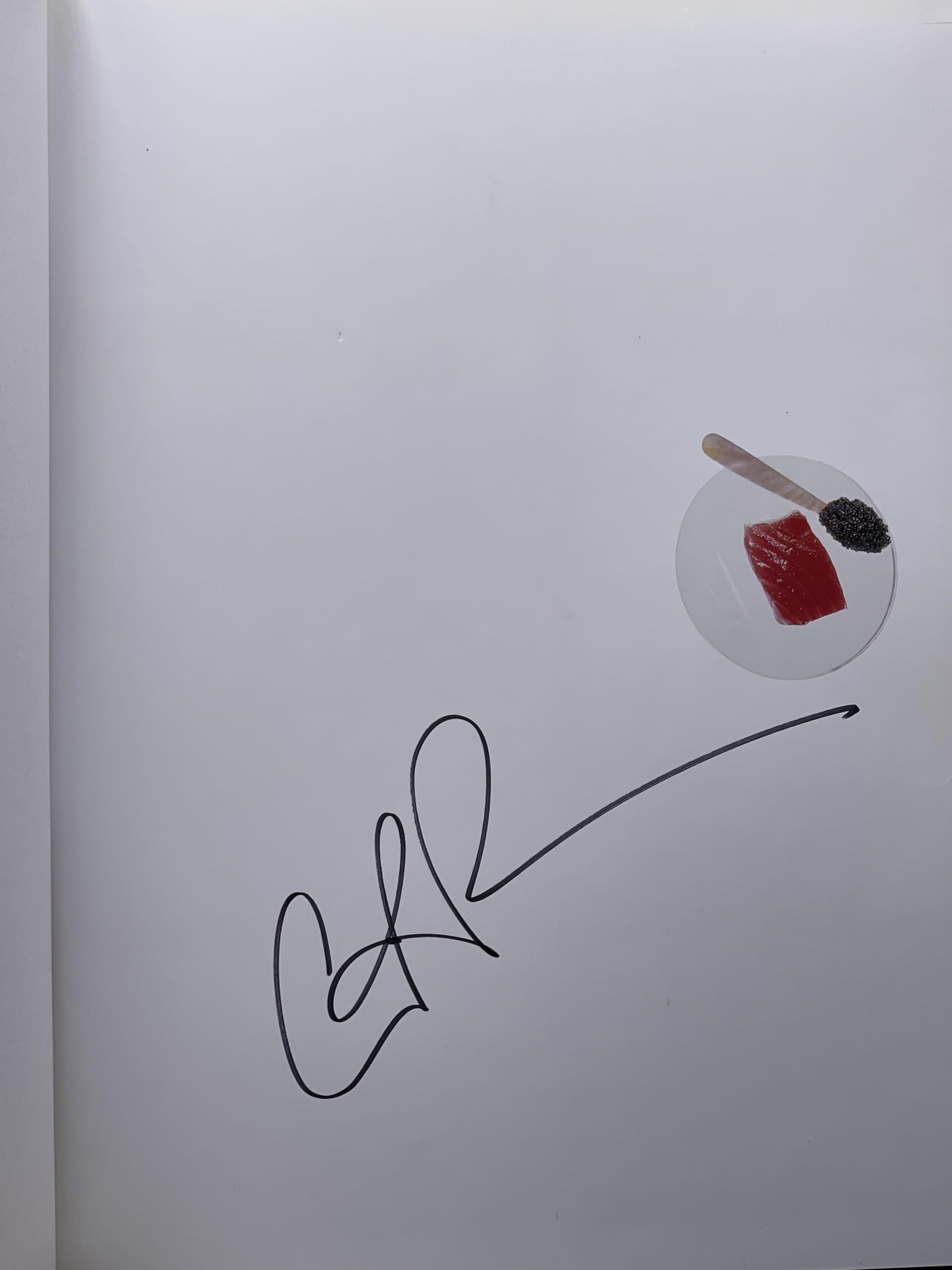 The Art of Aureole used book depot