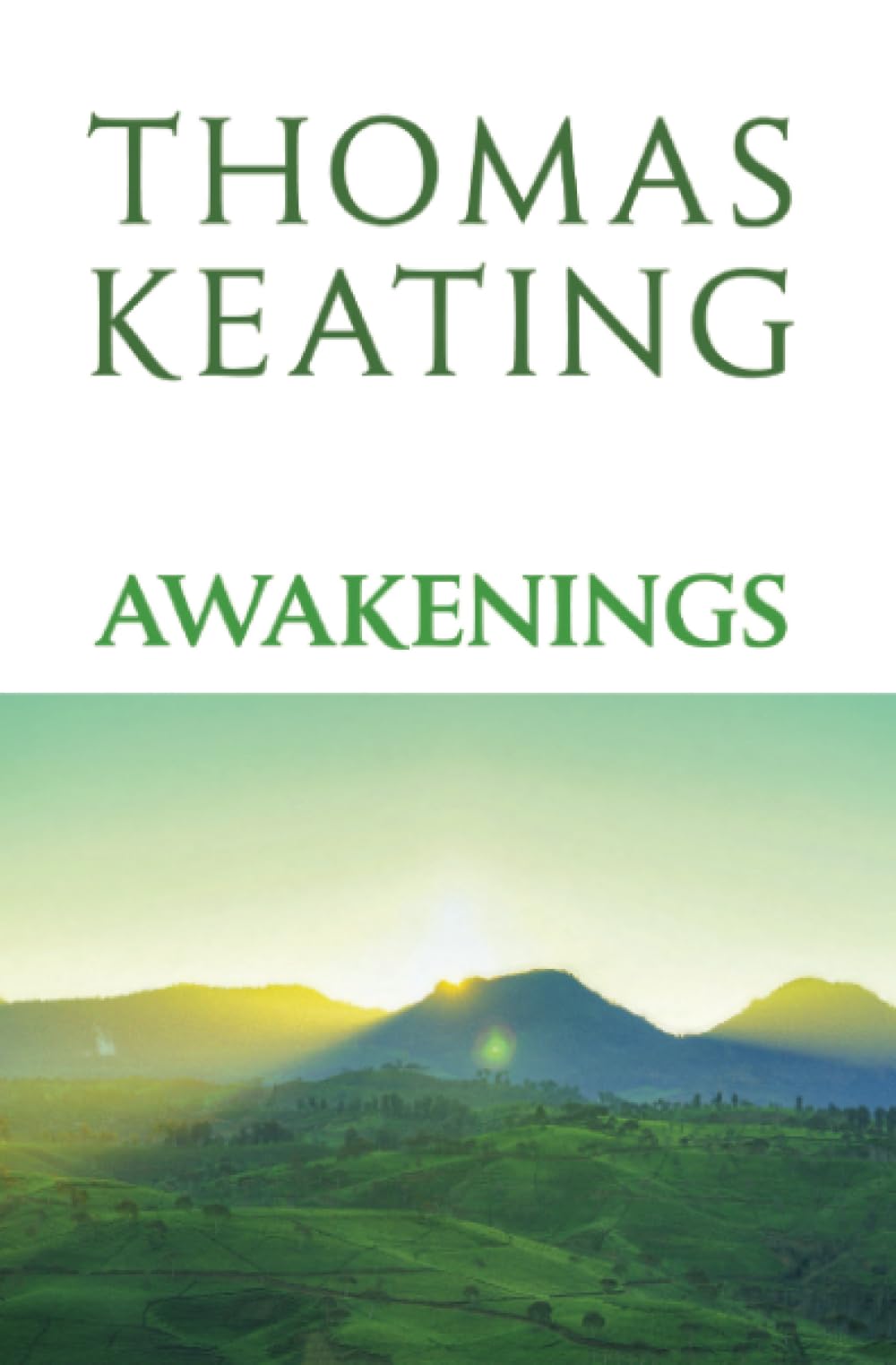 Awakenings used book depot