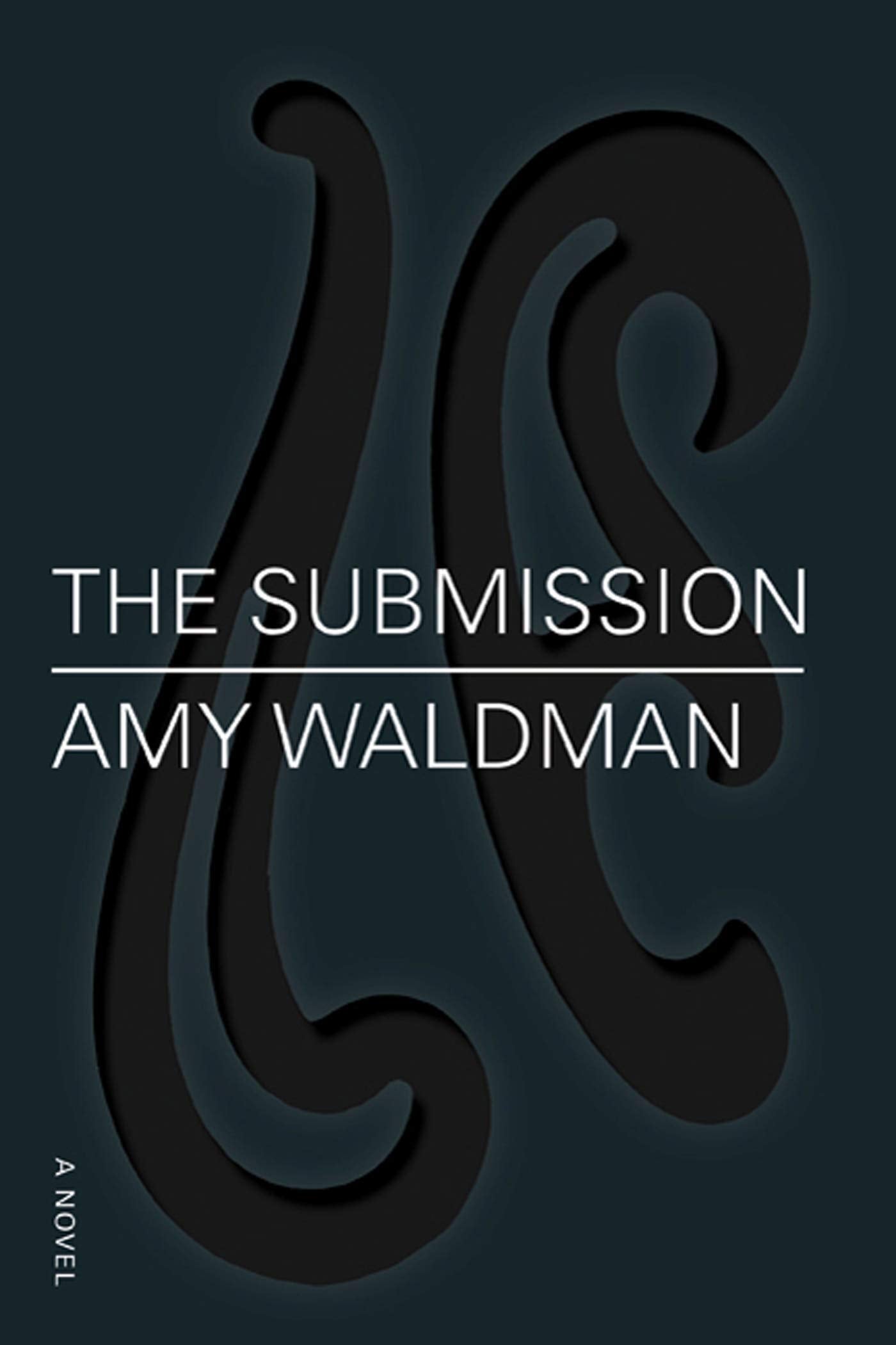 The Submission: A Novel used book depot
