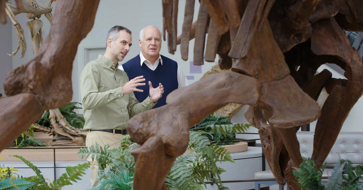 Is Genesis History? used book depot