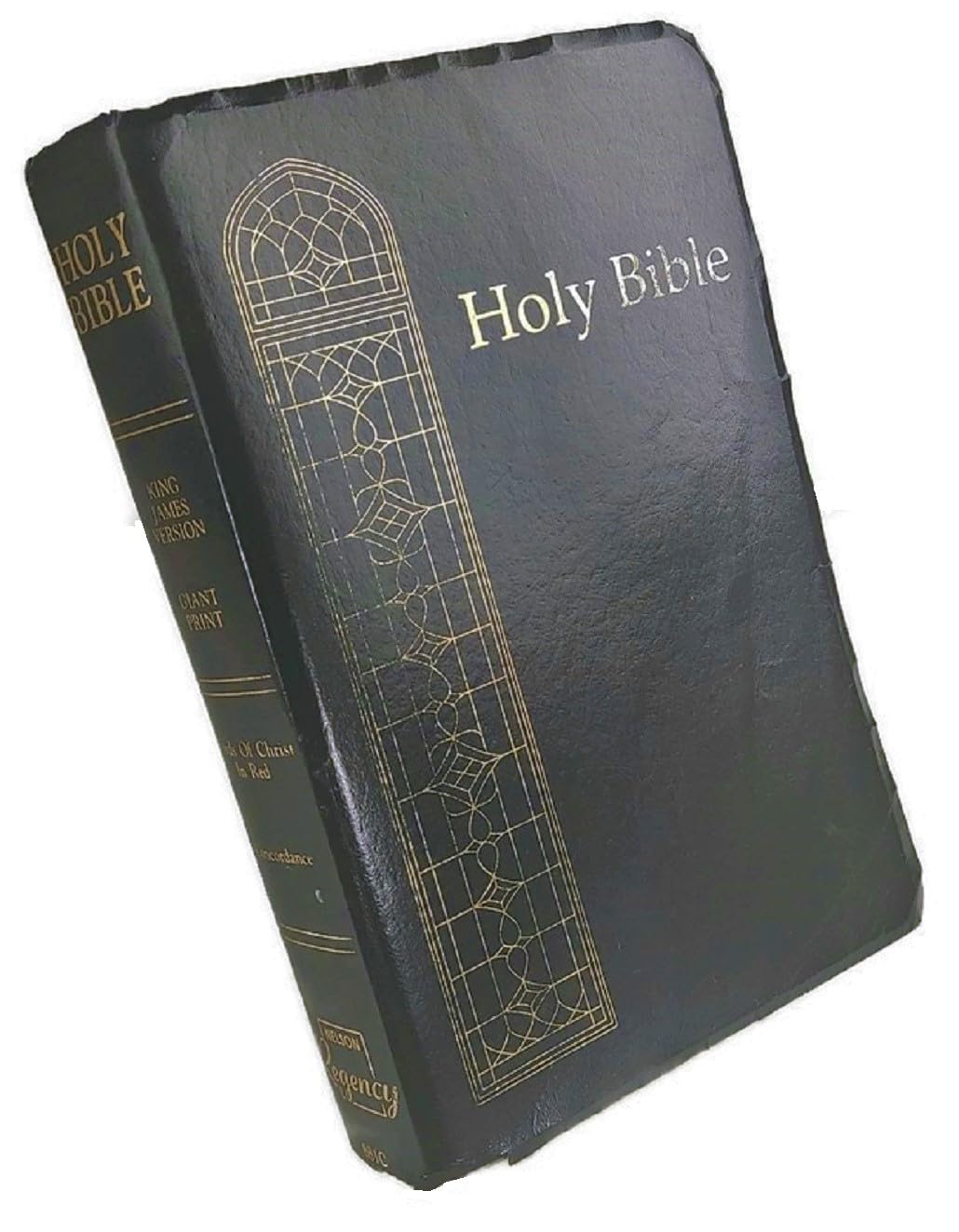 Holy Bible, Containing the Old & New Testaments, King James Version, Giant Print Reference Edition, Words of Christ in Red, Concordance (#881C) used book depot