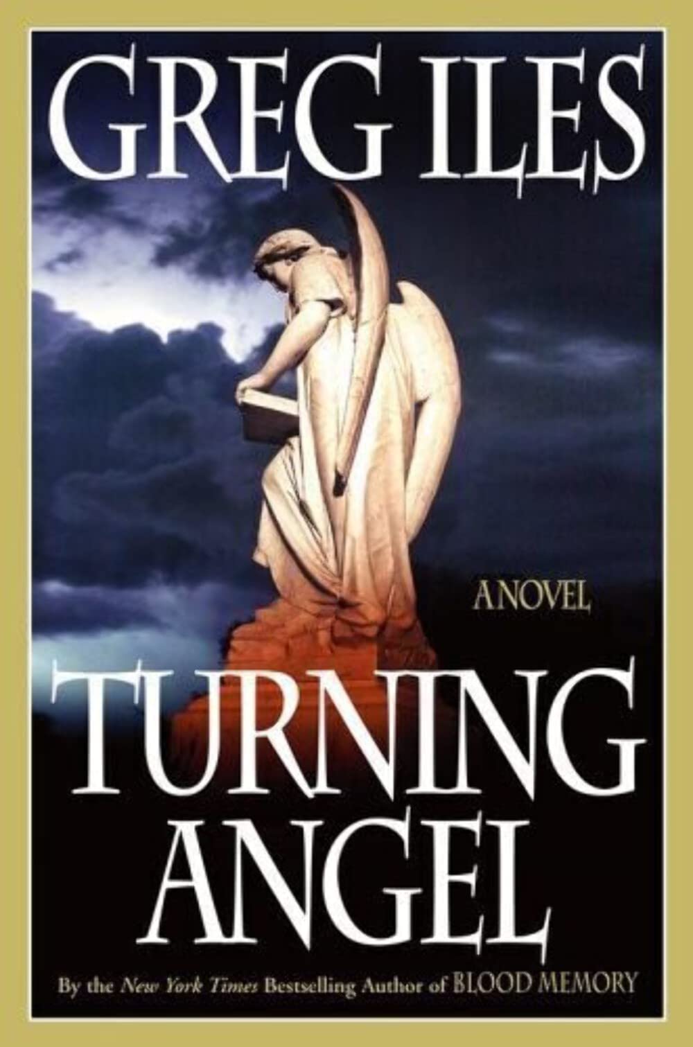Turning Angel: A Novel used book depot
