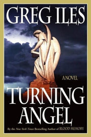 Turning Angel: A Novel used book depot
