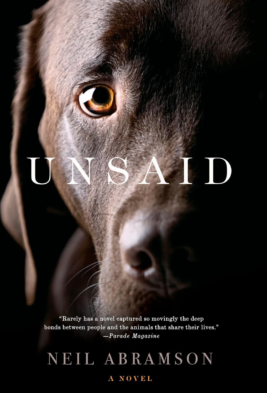 Unsaid: A Novel used book depot
